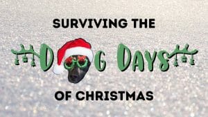 The Dog Days of Christmas