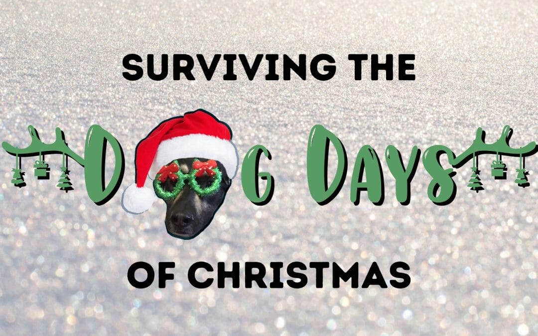 Surviving the Dog Days of Christmas